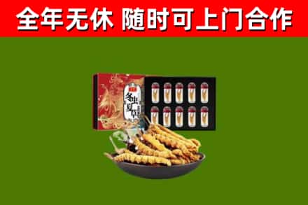 山阳回收冬虫夏草价格